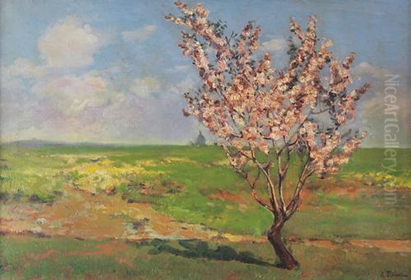 Albori Di Primavera Oil Painting by Luigi Petrassi