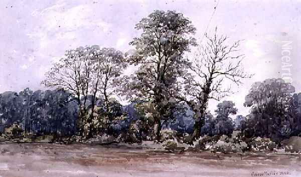 Trees at Perry Bar near Birmingham Oil Painting by George Wallis