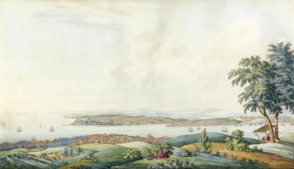 View Of Constantinople And The Bosphorus From The Uskudar Heights Oil Painting by Michel Francois Preaulx