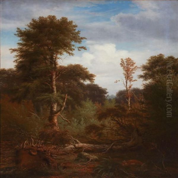 Forest Scene With Tall Trees Oil Painting by Peter Johann Raadsig