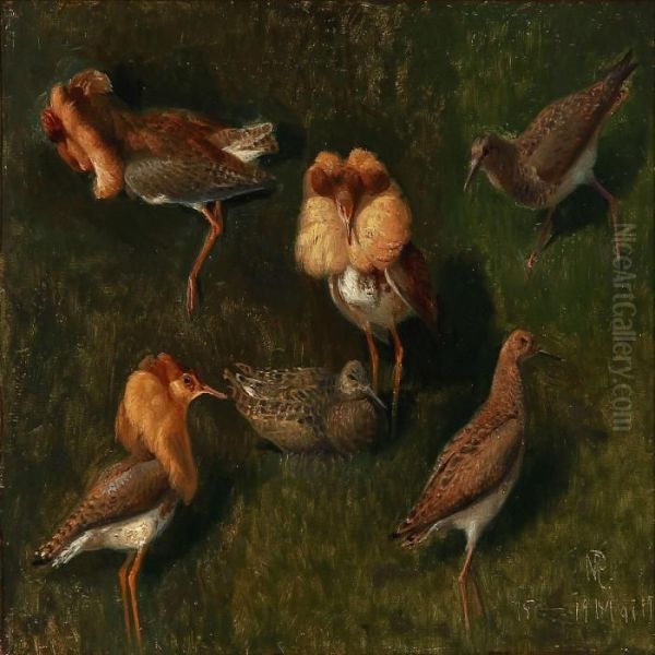 Ruffs And Chicken Oil Painting by Niels Peter Rasmussen