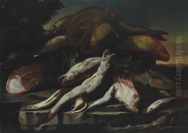 A Monk Fish, A Garfish, Parrotfish And Other Fish On A Rocky Shore Oil Painting by Giuseppe Recco