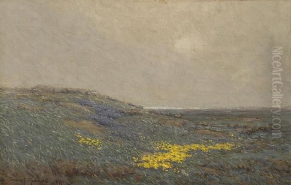 Coastal Wildflowers Oil Painting by Granville Redmond