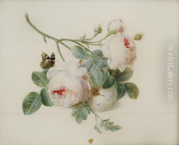 Roses Et Papillon Oil Painting by Pierre-Joseph Redoute