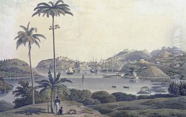 A View of the Town of St. George on the Island of Grenada, taken from the Belmont Estate, engraved by William Daniell (1769-1837), c.1810 Oil Painting by Wilson, Lieutenant-Colonel J.