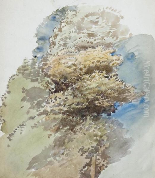 Study Of A Tree Oil Painting by George Richmond