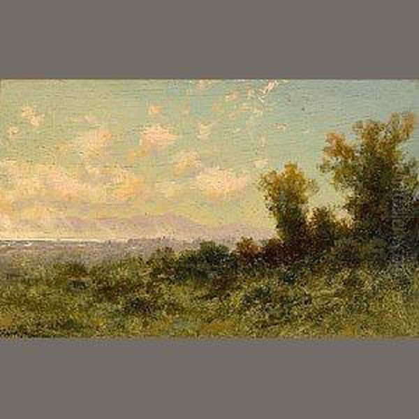 Mount Tamalpais Oil Painting by Charles Robinson