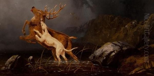 Dog Attacking A Stag In The Highlands Oil Painting by Robert Henry Roe