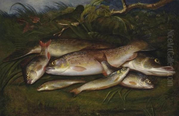 Trout, Pike, Roach, Dace And Gudgeon On A Riverbank Oil Painting by Henry Leonidas Rolfe