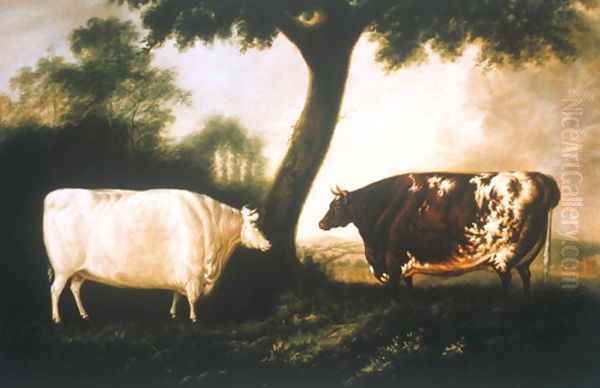 Two Shorthorn Cattle, 1806 Oil Painting by Thomas Harrington Wilson