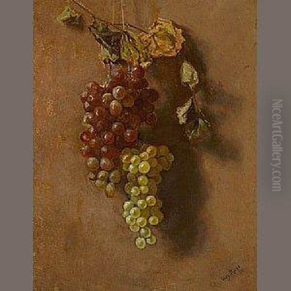 Grapes Suspended Oil Painting by Guy Rose