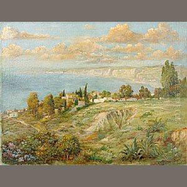 La Jolla From Solintate Avenue Oil Painting by Andreas Roth