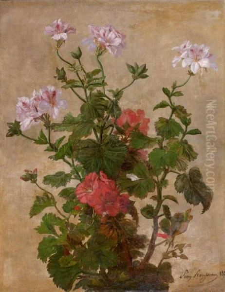 Geranium Oil Painting by Leon Rousseau