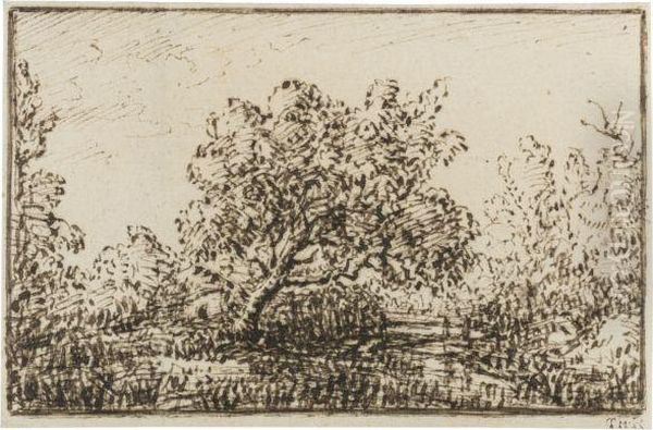 Study Of A Tree In The Forest Of Fontainebleau Oil Painting by Theodore Rousseau