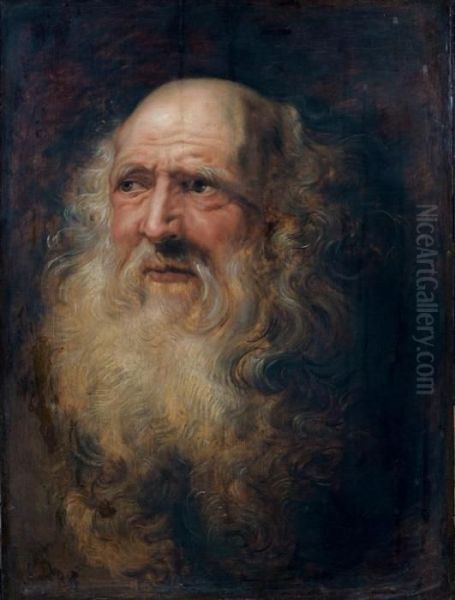 Tete D'homme Barbu Oil Painting by Peter Paul Rubens