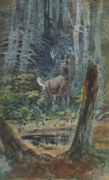 Deer In The Dell Oil Painting by Charles Marion Russell