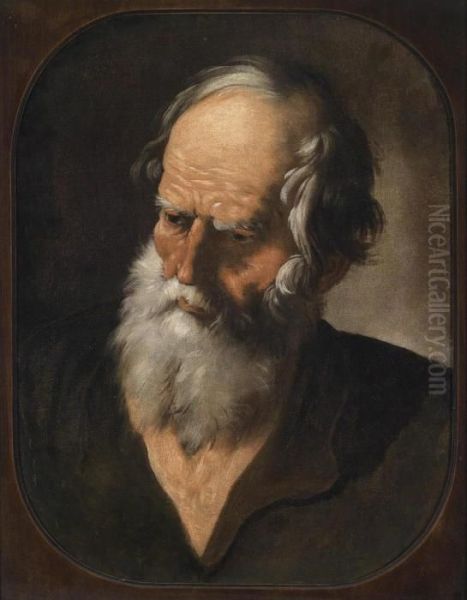 Bust Of A Bearded Man Oil Painting by Andrea Sacchi