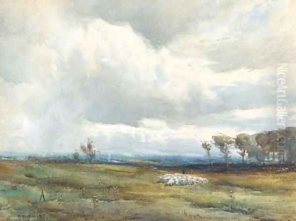 A shepherd tending his flock before an approaching storm Oil Painting by David West