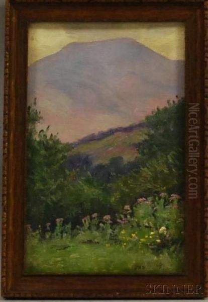 Mount Lafayette, Franconia, New Hampshire Oil Painting by Daniel Francois Santry