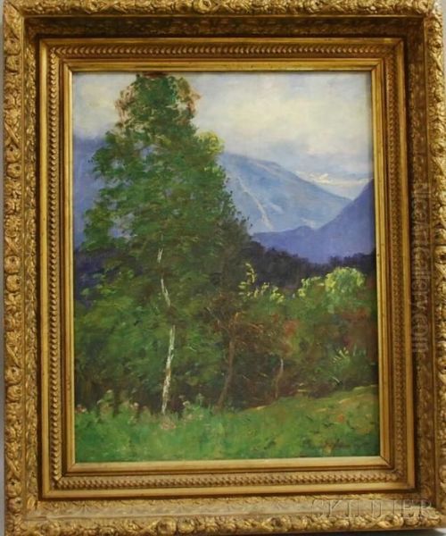 Summer Landscape With Franconia Notch In The Distance Oil Painting by Daniel Francois Santry