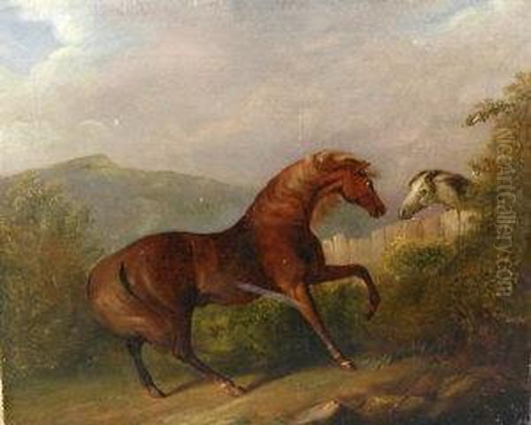 A Chestnut And A Grey Horse Divided By Fence Oil Painting by John Nost Sartorius