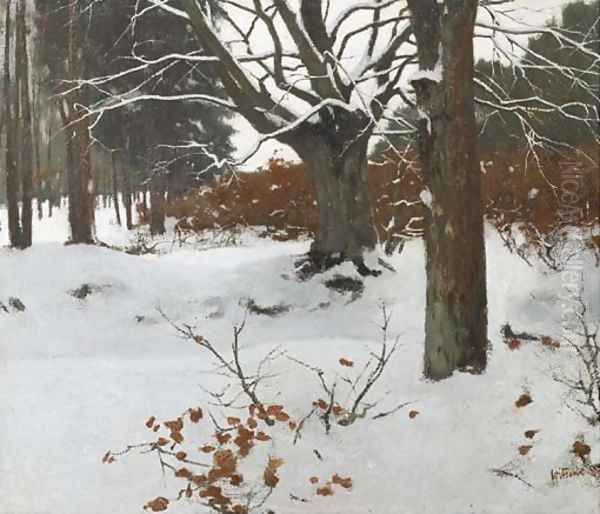 Bos in de sneeuw Oil Painting by Willem Witsen