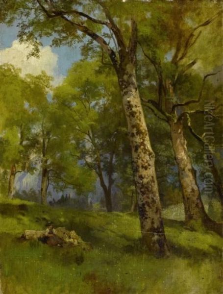 Landscape With Birches Oil Painting by Traugott Schiess