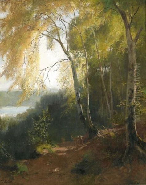 Sonnenbeschienene Waldlandschaft Mit Reh Oil Painting by Traugott Schiess