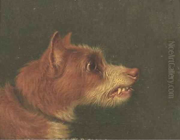 Snarling terriers Oil Painting by Martin Theodore Ward