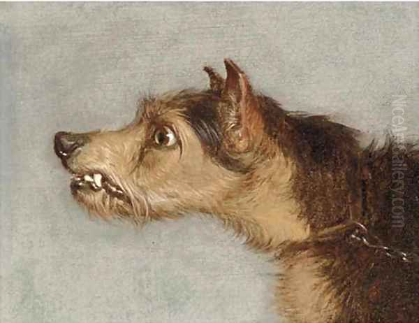 The head of terrier; and The head of lurcher Oil Painting by Martin Theodore Ward