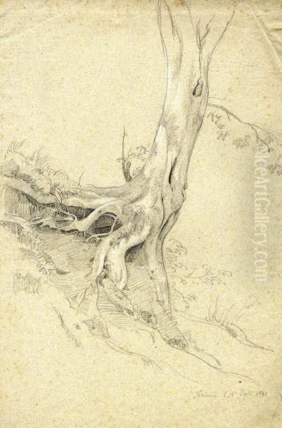 Study Of A Tree Oil Painting by Johann Wilhelm Schirmer