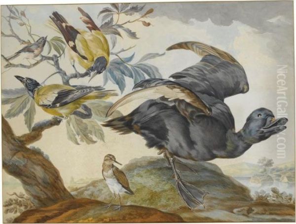 A Duck And Four Other Birds, Three On A Branch Oil Painting by Aert Schouman