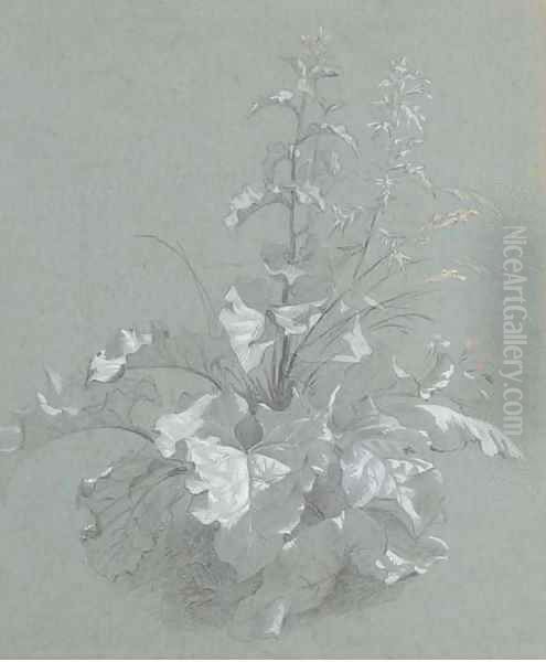 Study of wild flowers Oil Painting by Jan The Younger Weenix