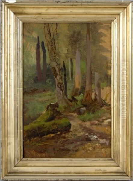 Waldstudie Oil Painting by Anton Schrodl