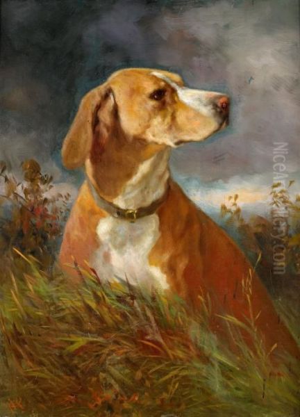 Hundportratt Oil Painting by Anton Schrodl