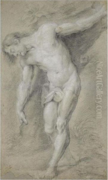 Study Of A Male Nude Posed As Saint Sebastian Against A Tree Oil Painting by Gerard Seghers