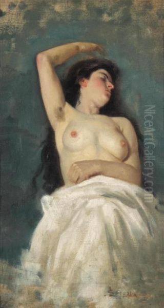 Young Woman With Naked Torso Oil Painting by Luigi Serena