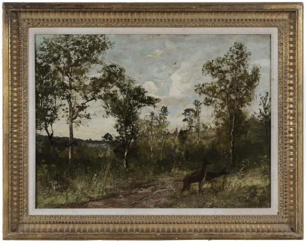 Deer In A Woodland Clearing Oil Painting by Christopher H. Shearer