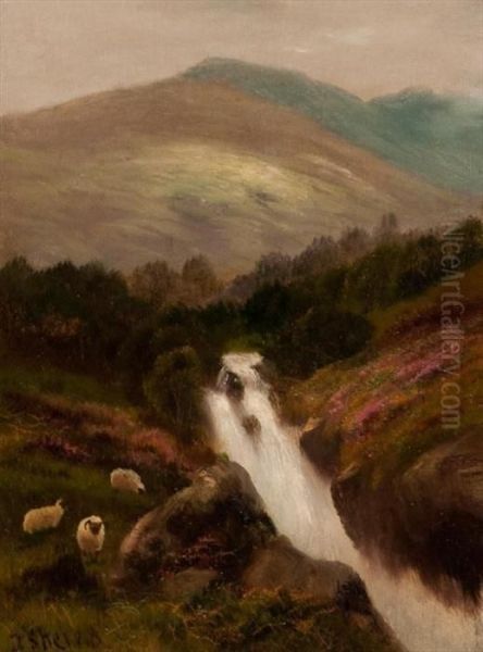 Highland Burn With Sheep Oil Painting by Daniel Sherrin