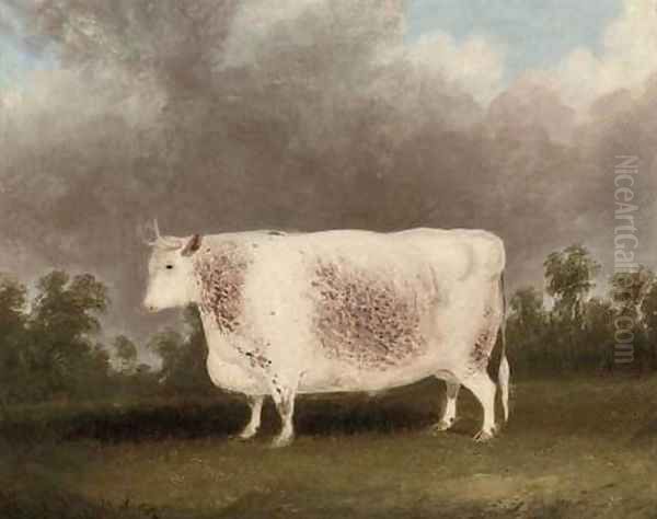 A white prize bull Oil Painting by Thomas Weaver