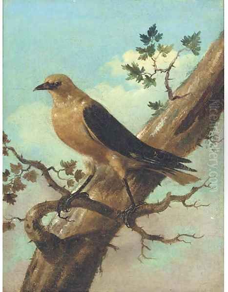 Bird On A Branch Oil Painting by Joham Matthias Wourzer