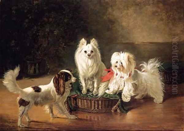 A Toy Spaniel, a Pomeranian and a Maltese Terrier at a Basket Oil Painting by Johann Friedrich Wilhelm Wegener