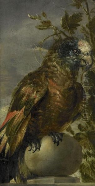 Papegoja - Fragment Oil Painting by Frans Snyders