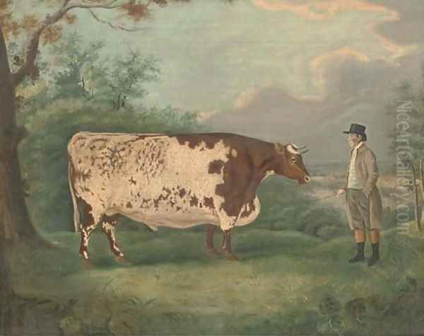 A prize bull Oil Painting by Richard Whitford