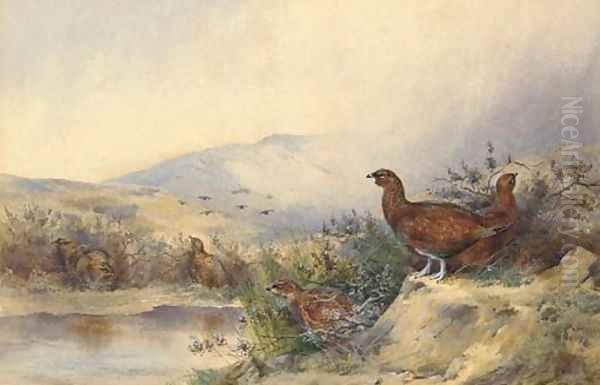 Pheasant Oil Painting by Samuel Wilson