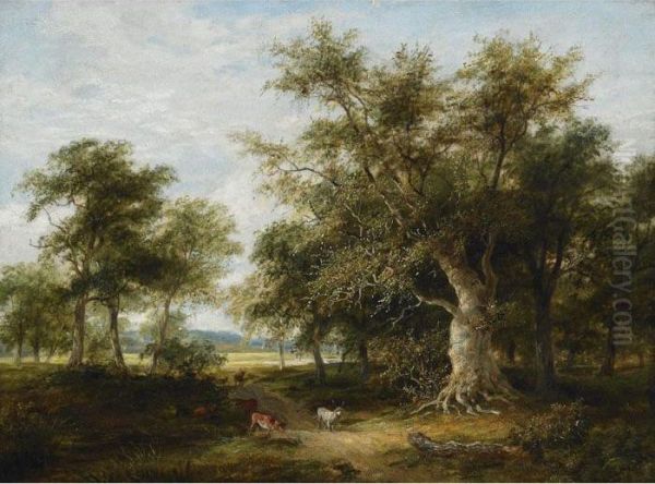 Stags In A Woodland Landscape Oil Painting by James Stark