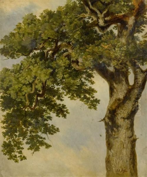 Tree Study Oil Painting by Johann Gottfried Steffan