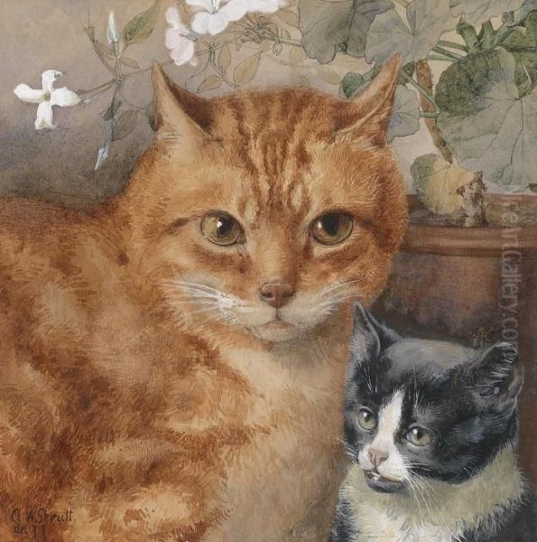 Cats Oil Painting by William Strutt