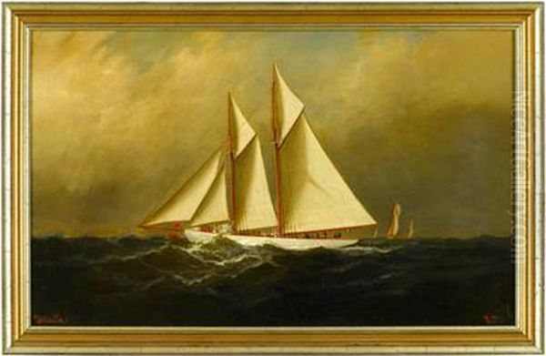 Two Masted Racing Ship Oil Painting by Alexander Charles Stuart