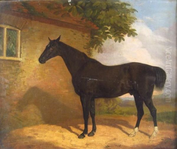 Portrait Of A Black Horse Oil Painting by George Stubbs